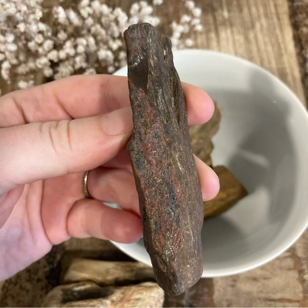 8pcs Petrified Wood Medium 3” Long
